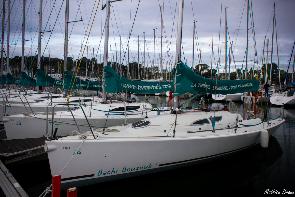 Les voiliers de cette flotte étaient tous baptisés d'une insulte du capitaine Haddock