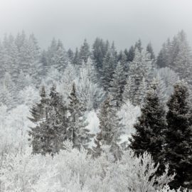 Fermeture du club pendant les vacances de noël