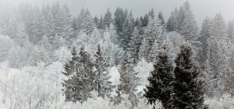 Fermeture du club pendant les vacances de noël